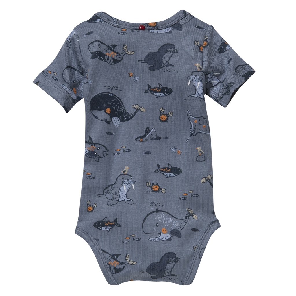 FS 24 - Baby Kurzarm Body, weiss/blau, PWO  