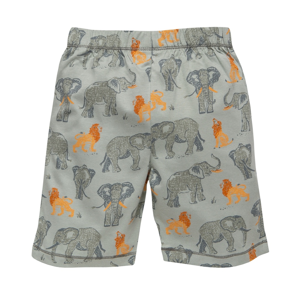 FS 24 - Pyjama kurz, grau / grün, PWO 