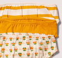 Lot de 3 slips "Petites Fleurs", LGR