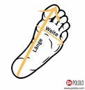 Chaussure basse à lacets pieds nus, Pololo