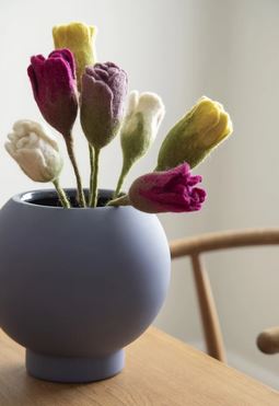 Tulpe, weiss, GRY & SIF