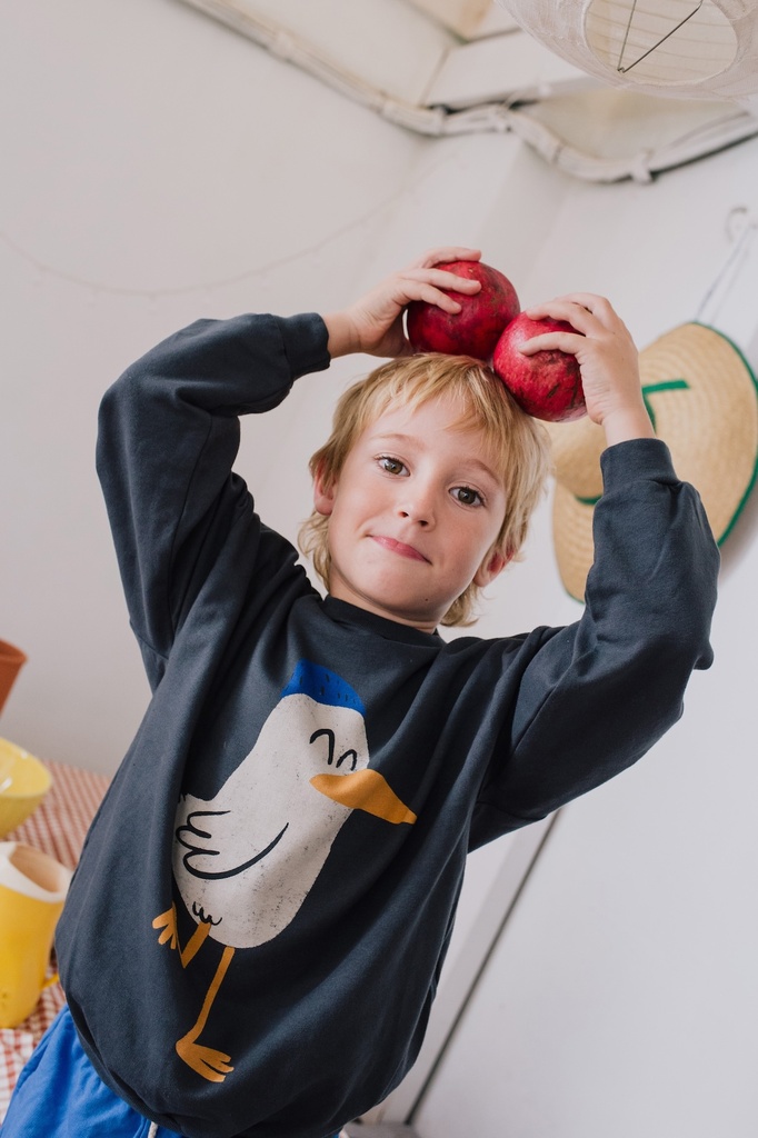 Sweatshirt "SEAGULL", LötieKids SS 25