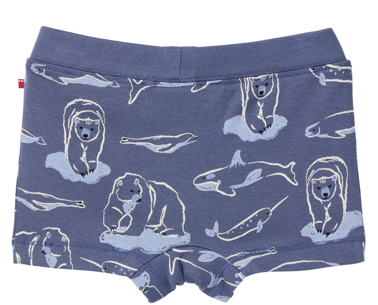 Lot de 2  Slips pour enfant Ours pinguins, PWO (copie)