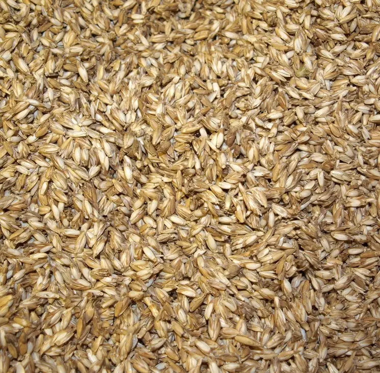 Capture d’écran 2025-12-06 124103.webp