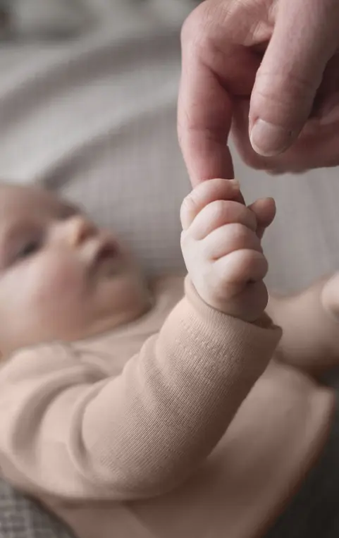 Capture d’écran 2026-01-20 131342.webp