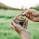 ecolunchbox-lunchbox-ecodipper-28798264934513_700x.webp