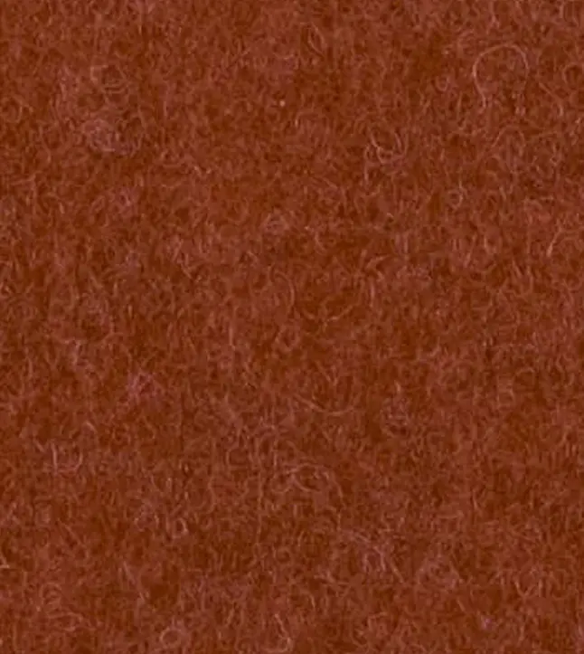 redwood2.webp