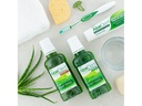 Aloe Vera Mundwasser