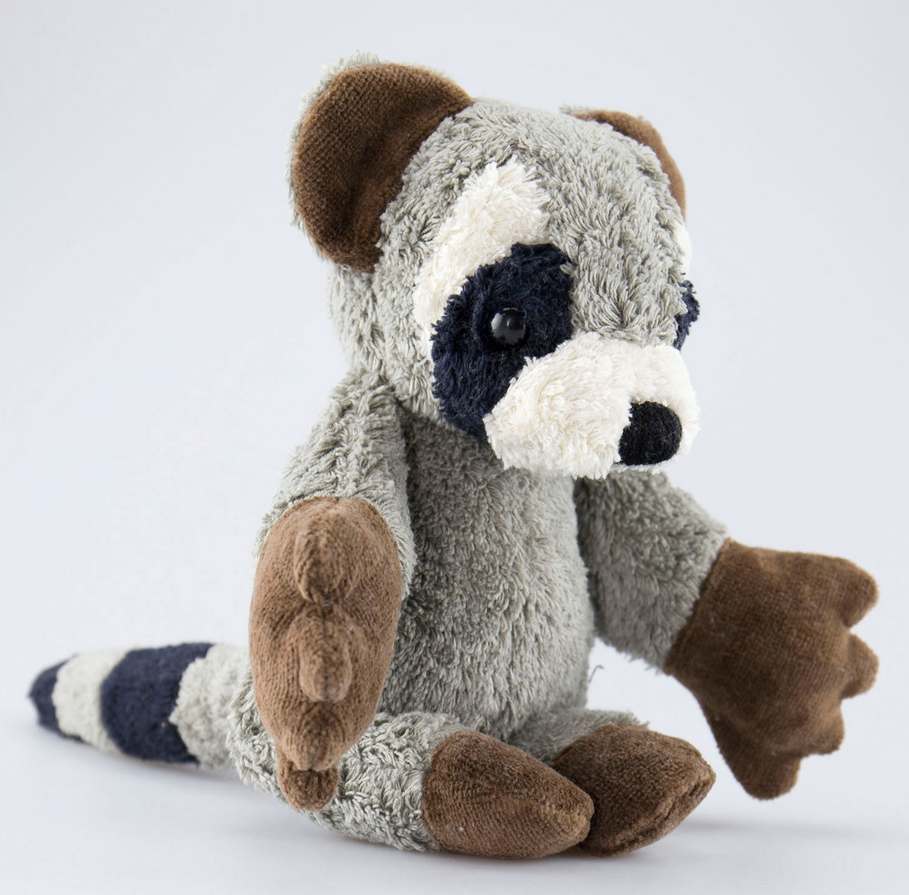 Waschbär Curti, Kallisto