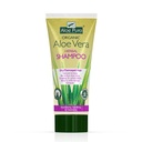 [2228] Aloe Vera Kräuter-Shampoo für trockenes und geschädigtes Haar, Optima