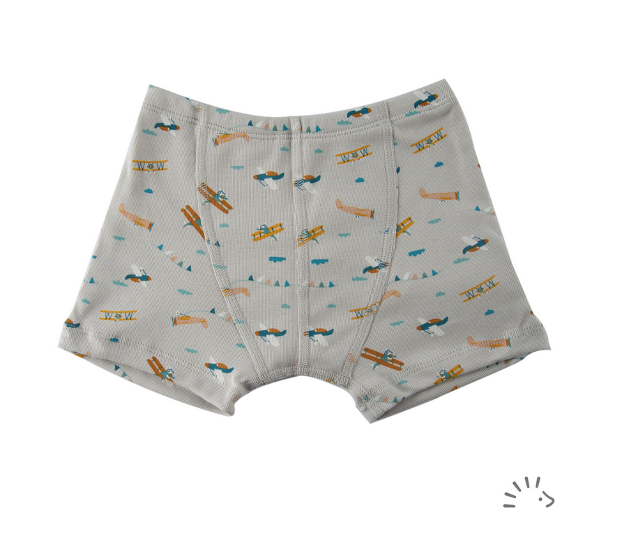 Boxershort Planes , Popolini