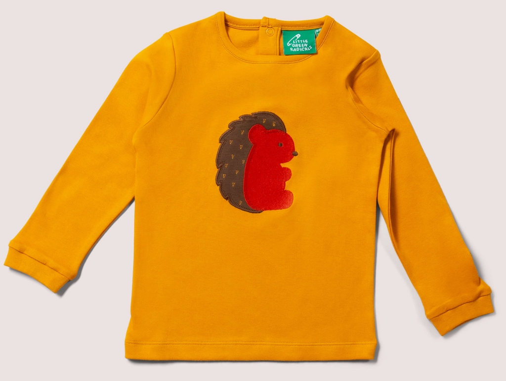 Long-sleeved T-shirt “little hedgehog”, LGR