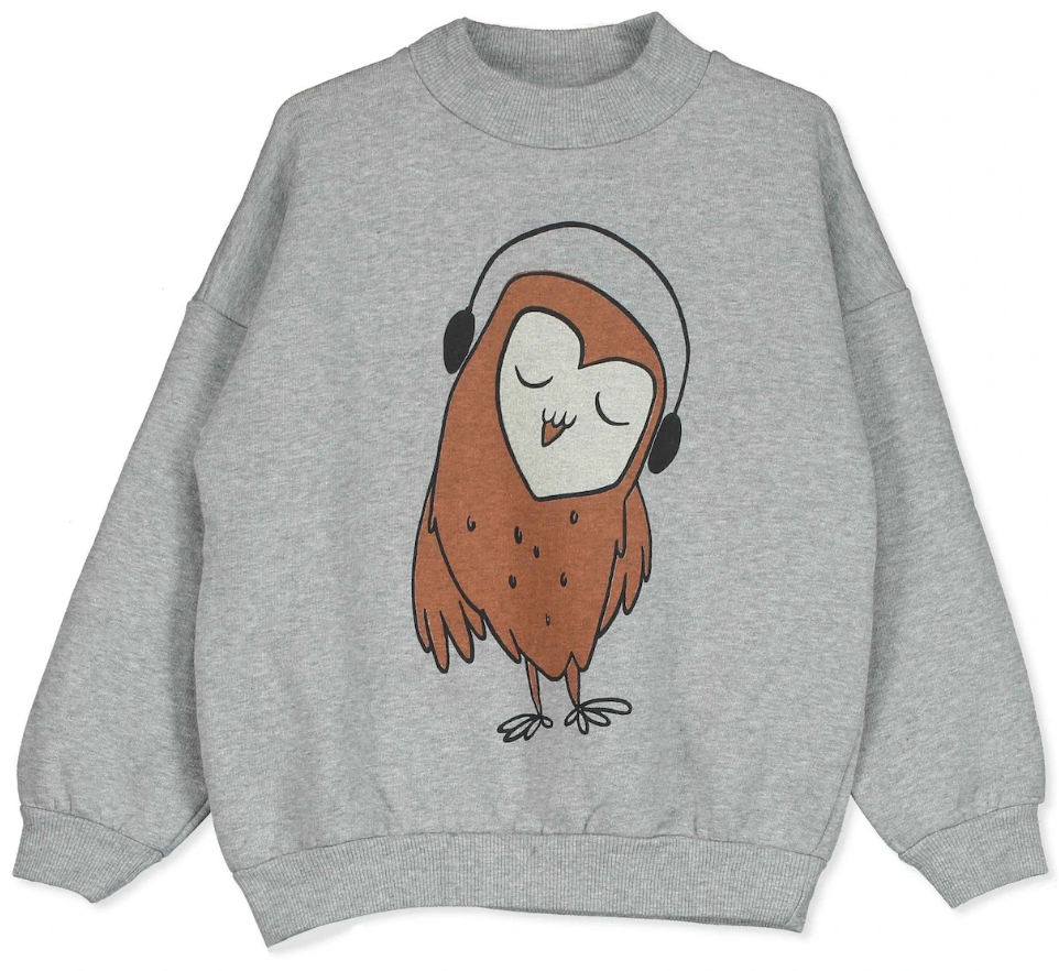 Sweatshirt grau meliert "EULE", Lötiekids