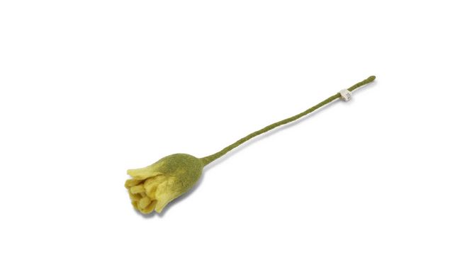 Tulpe, GRY & SIF