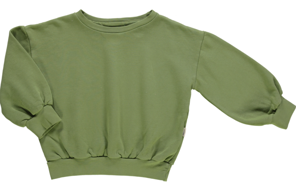 Sweatshirt Jojoba Turtle green, Poudre Organic