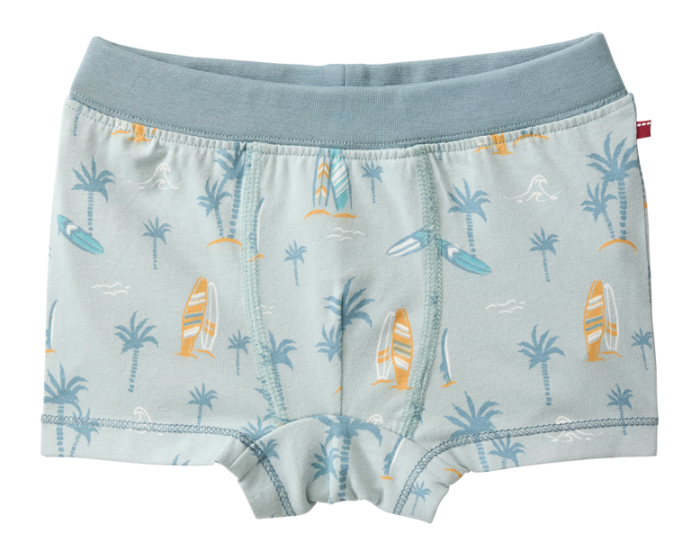 Boxer "Palmiers", PWO
