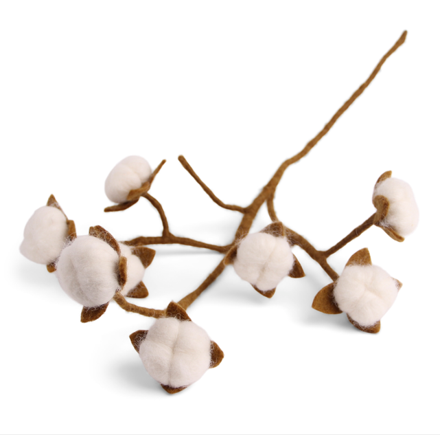 Branche avec du coton, GRY & SIF   