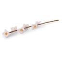 fleurs blanches sur tige, GRY & SIF    