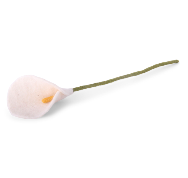 Lys blanc ,GRY & SIF