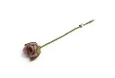 Rosa Altrosa, Gry & Sif