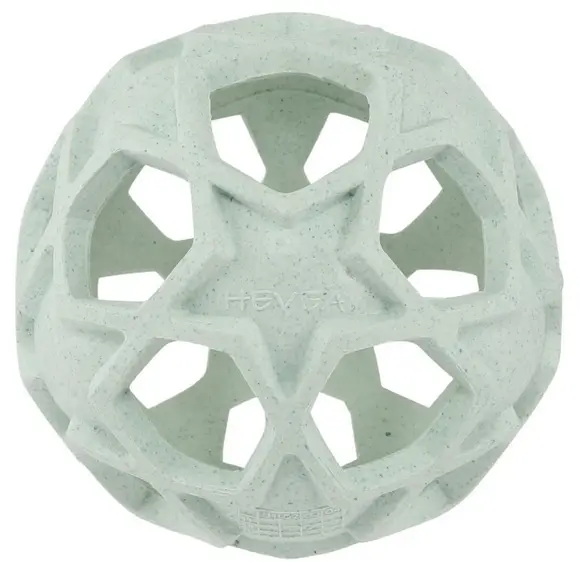 Aktivitätsball, Hevea (LNMM)