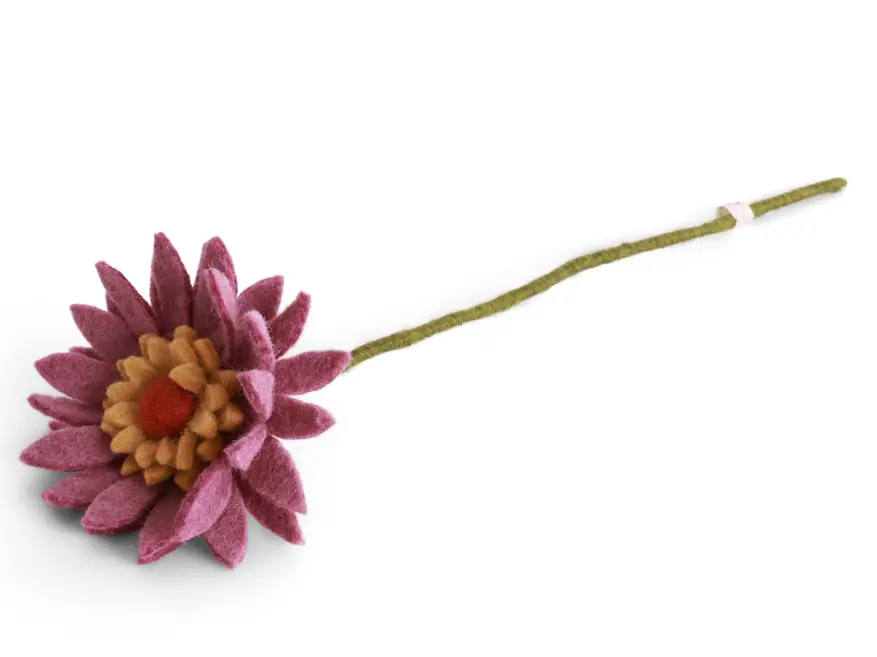 Gerbera-Blume "Lila", GRY & SIF   