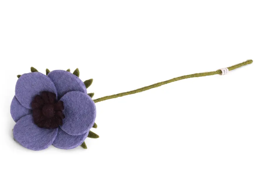 Anemone "Lila", GRY & SIF   