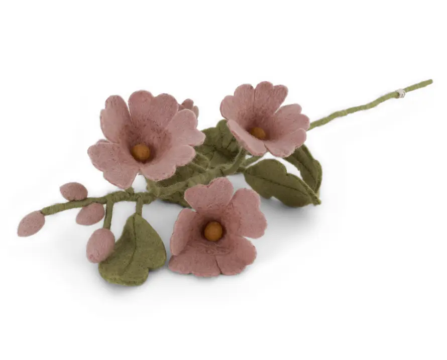 Stockrosenblüte "Hellrosa", GRY & SIF   