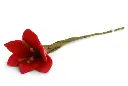 Fleur de lys trompette "Rouge", GRY & SIF