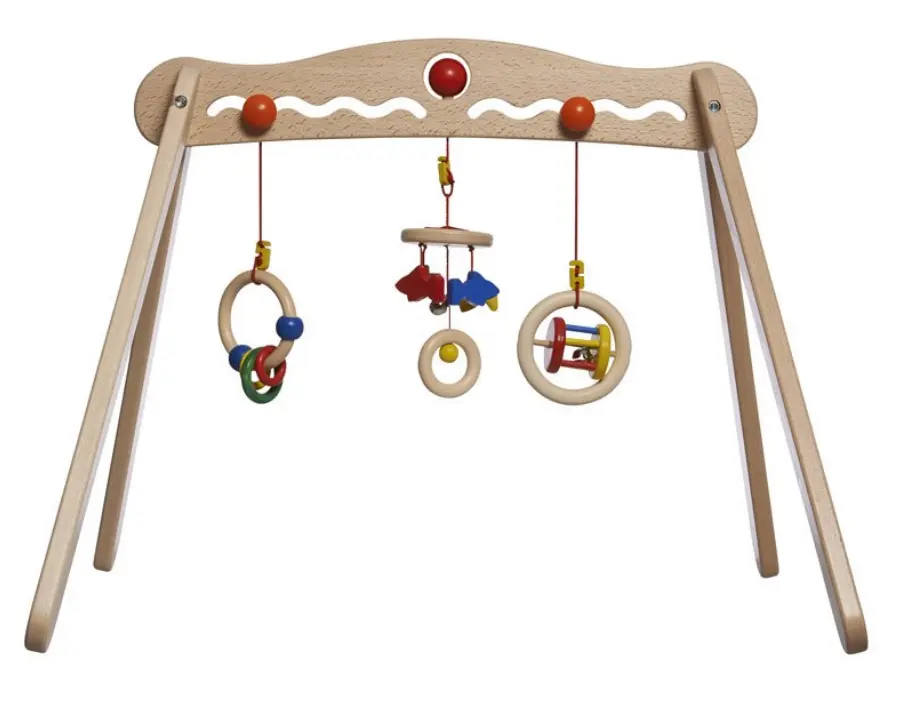 Babytrainer, Walter by Nic Toys (LNSN)