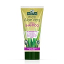 Aloe Vera shampoo aux herbes pour cheveux secs et abîmés, Optima