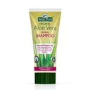 Aloe Vera herbal shampoo for normal/frequent use, Optima