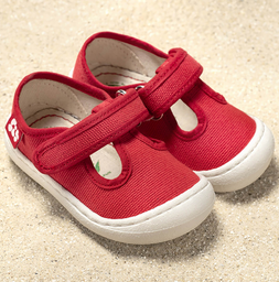 ​​​Arena VEGAN Pololo