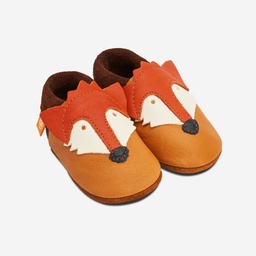 Baby  Slipper Fox, Orangenkinder