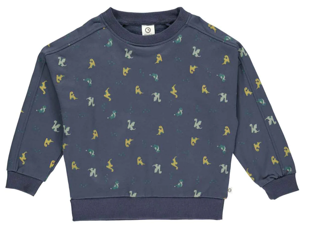 Sweat-shirt dino, Müsli