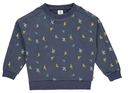 Sweat-shirt dino, Müsli