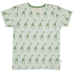 Short sleeve T-shirt, Pigeon