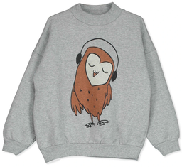 Sweatshirt grau meliert "EULE", Lötiekids
