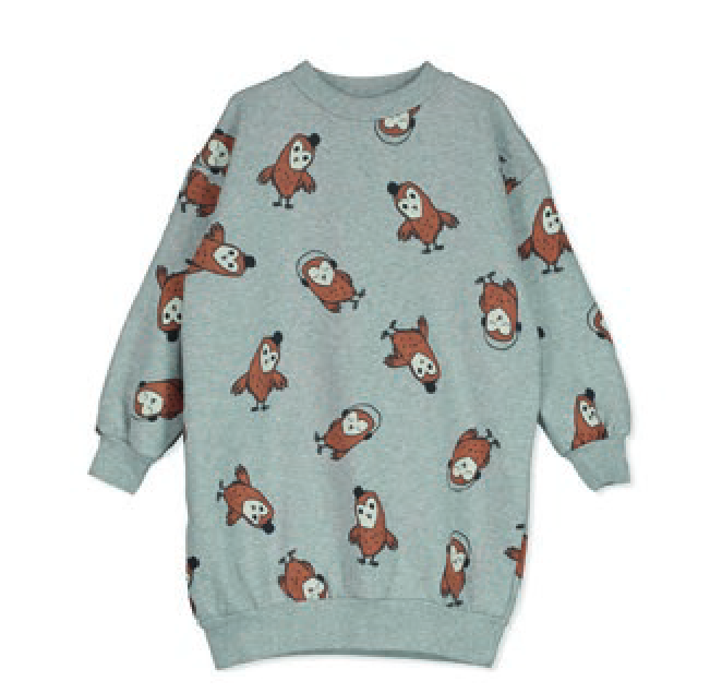 Robe longue sweat grise "Hibou", LötieKids , 140