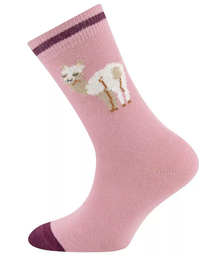 Kinder Socken Alpaka, Ewers
