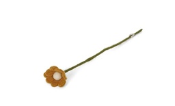 [10134] Anemone, yellow, GRY & SIF