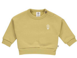 Baby Sweatshirt gelb 68, Müsli (LNAR)