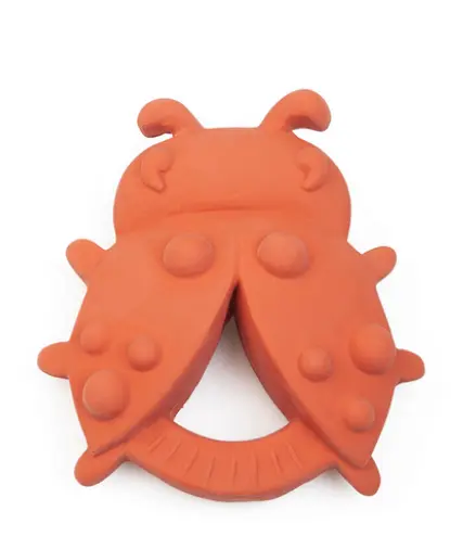 Bio-Spieltier Marienkäfer, Grünspecht (LNMM)