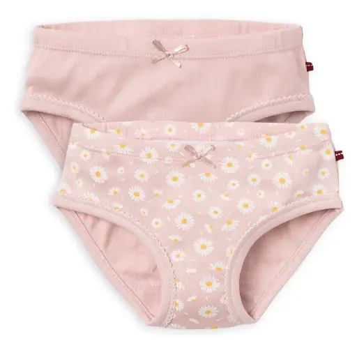 Lot de 2 slips, rose/fleurs, PWO