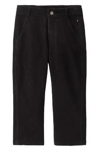 Pantalon en velours côtelé, PWO