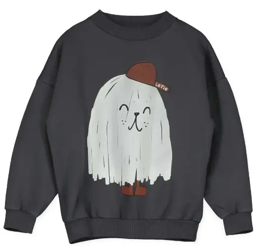 Sweatshirt "Monster anthracite", Lötiekids