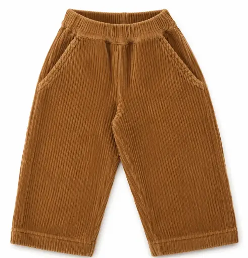 Cordhose "Coing", Poudre Organic